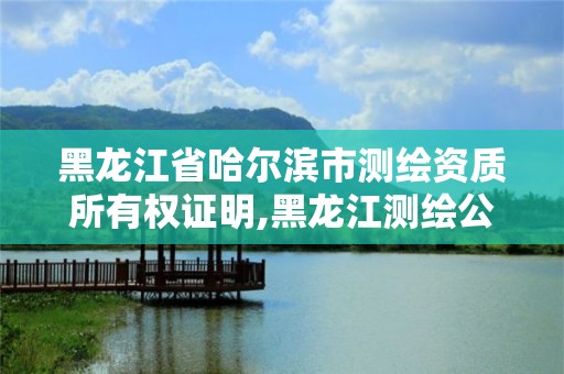 黑龙江省哈尔滨市测绘资质所有权证明,黑龙江测绘公司乙级资质。