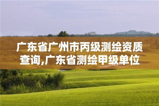 广东省广州市丙级测绘资质查询,广东省测绘甲级单位