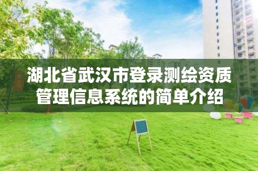 湖北省武汉市登录测绘资质管理信息系统的简单介绍