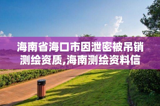 海南省海口市因泄密被吊销测绘资质,海南测绘资料信息中心