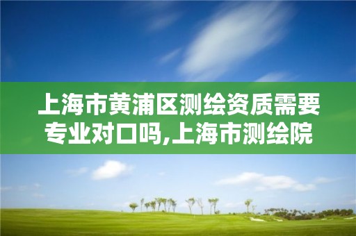 上海市黄浦区测绘资质需要专业对口吗,上海市测绘院哪个分院好。