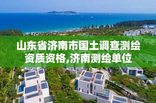 山东省济南市国土调查测绘资质资格,济南测绘单位