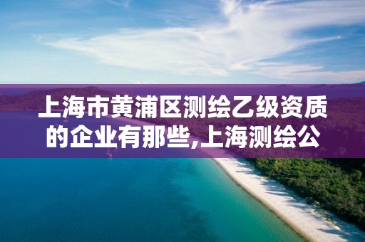 上海市黄浦区测绘乙级资质的企业有那些,上海测绘公司有哪几家。