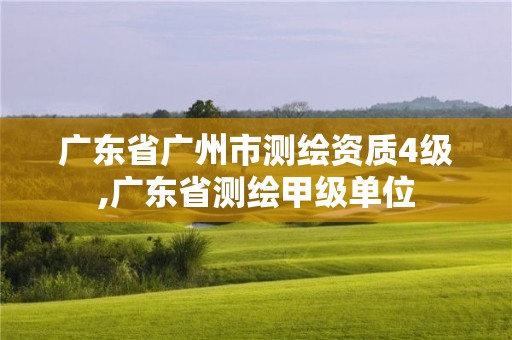 广东省广州市测绘资质4级,广东省测绘甲级单位