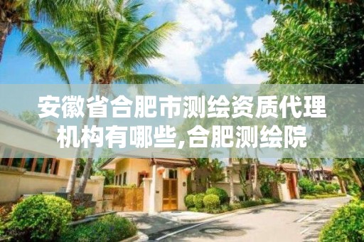 安徽省合肥市测绘资质代理机构有哪些,合肥测绘院