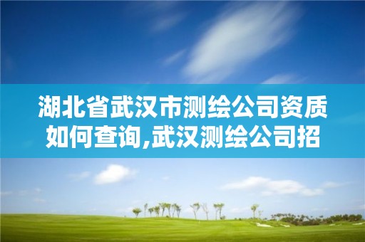 湖北省武汉市测绘公司资质如何查询,武汉测绘公司招聘