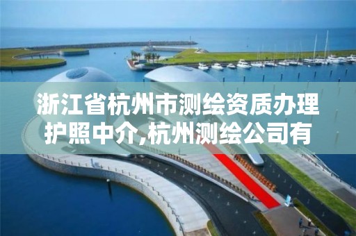 浙江省杭州市测绘资质办理护照中介,杭州测绘公司有哪几家