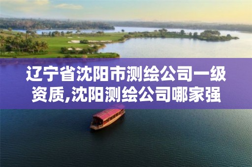 辽宁省沈阳市测绘公司一级资质,沈阳测绘公司哪家强哪家好