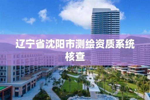 辽宁省沈阳市测绘资质系统核查