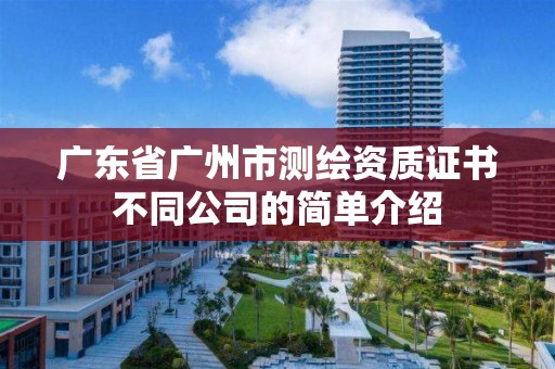 广东省广州市测绘资质证书不同公司的简单介绍