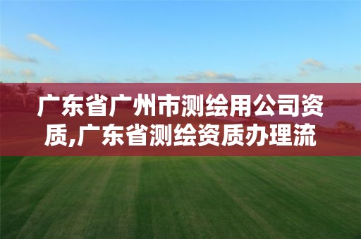 广东省广州市测绘用公司资质,广东省测绘资质办理流程