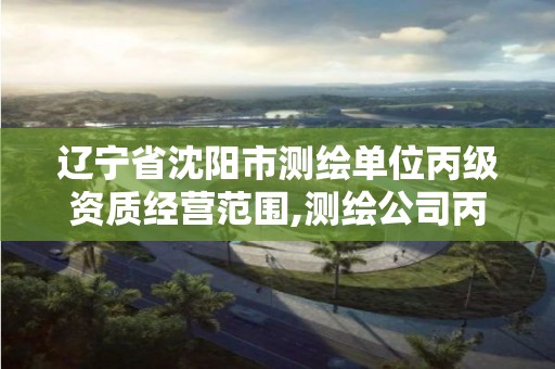 辽宁省沈阳市测绘单位丙级资质经营范围,测绘公司丙级经营范围。