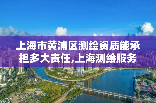 上海市黄浦区测绘资质能承担多大责任,上海测绘服务中心。