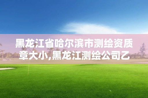 黑龙江省哈尔滨市测绘资质章大小,黑龙江测绘公司乙级资质