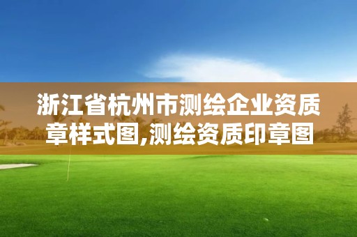 浙江省杭州市测绘企业资质章样式图,测绘资质印章图片。