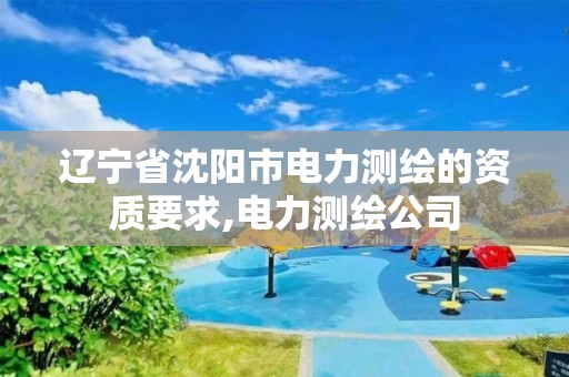 辽宁省沈阳市电力测绘的资质要求,电力测绘公司