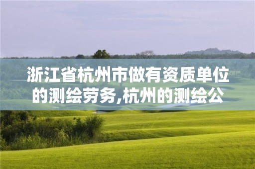 浙江省杭州市做有资质单位的测绘劳务,杭州的测绘公司有哪些。