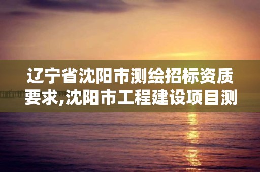 辽宁省沈阳市测绘招标资质要求,沈阳市工程建设项目测绘技术规程