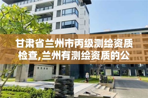 甘肃省兰州市丙级测绘资质检查,兰州有测绘资质的公司有