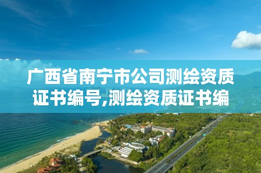 广西省南宁市公司测绘资质证书编号,测绘资质证书编号形式。