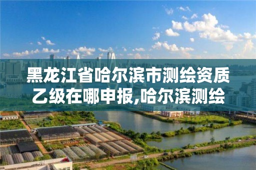 黑龙江省哈尔滨市测绘资质乙级在哪申报,哈尔滨测绘有限公司