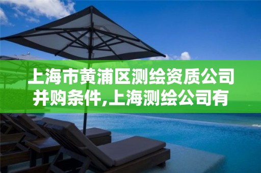 上海市黄浦区测绘资质公司并购条件,上海测绘公司有哪几家