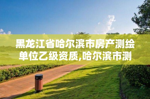 黑龙江省哈尔滨市房产测绘单位乙级资质,哈尔滨市测绘局家属楼