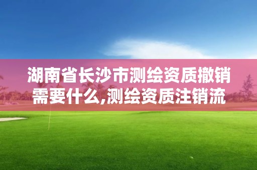 湖南省长沙市测绘资质撤销需要什么,测绘资质注销流程