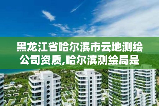 黑龙江省哈尔滨市云地测绘公司资质,哈尔滨测绘局是干什么的