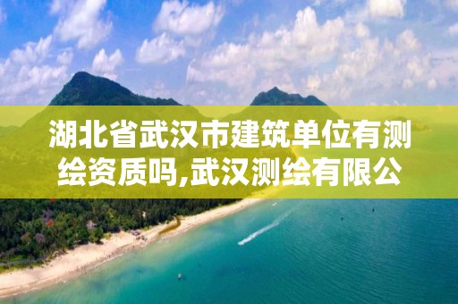 湖北省武汉市建筑单位有测绘资质吗,武汉测绘有限公司