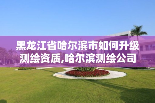 黑龙江省哈尔滨市如何升级测绘资质,哈尔滨测绘公司电话