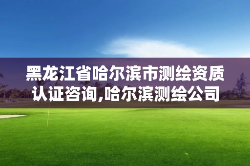 黑龙江省哈尔滨市测绘资质认证咨询,哈尔滨测绘公司电话