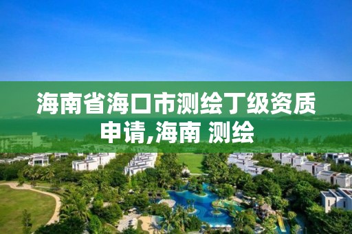 海南省海口市测绘丁级资质申请,海南 测绘