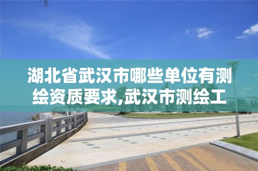 湖北省武汉市哪些单位有测绘资质要求,武汉市测绘工程技术规定。