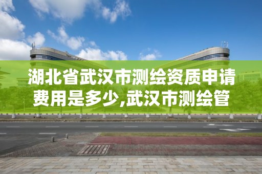 湖北省武汉市测绘资质申请费用是多少,武汉市测绘管理条例。