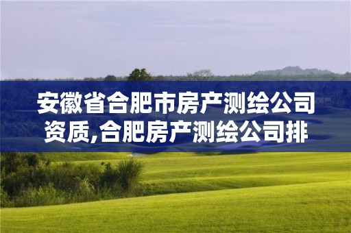 安徽省合肥市房产测绘公司资质,合肥房产测绘公司排名。