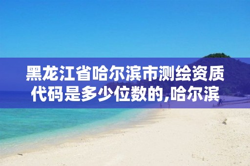 黑龙江省哈尔滨市测绘资质代码是多少位数的,哈尔滨测绘地理信息局。