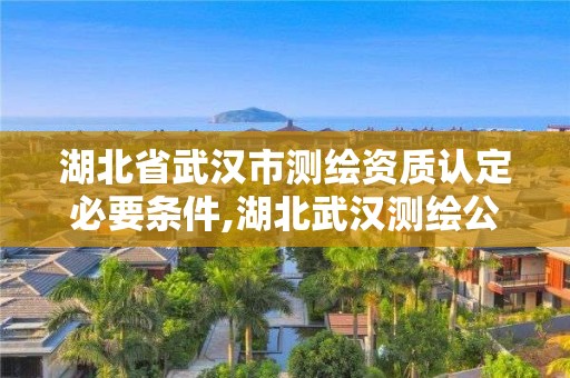 湖北省武汉市测绘资质认定必要条件,湖北武汉测绘公司排行榜