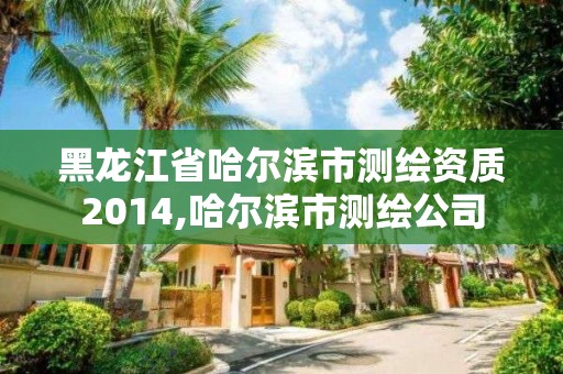 黑龙江省哈尔滨市测绘资质2014,哈尔滨市测绘公司