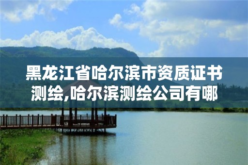 黑龙江省哈尔滨市资质证书测绘,哈尔滨测绘公司有哪些