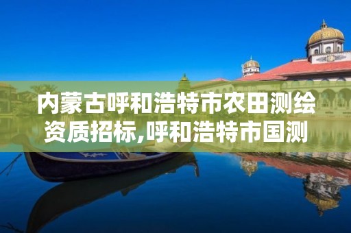 内蒙古呼和浩特市农田测绘资质招标,呼和浩特市国测土地信息技术有限公司