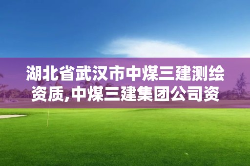 湖北省武汉市中煤三建测绘资质,中煤三建集团公司资质。