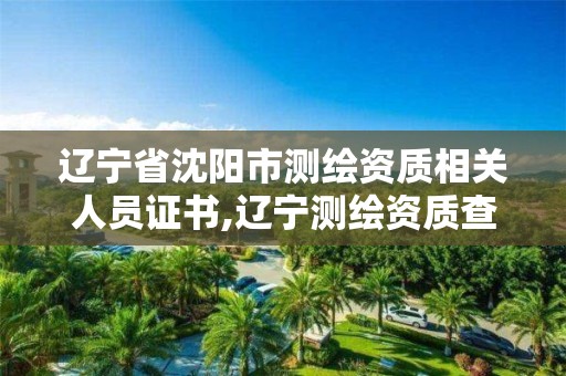 辽宁省沈阳市测绘资质相关人员证书,辽宁测绘资质查询。