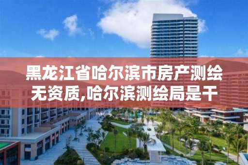 黑龙江省哈尔滨市房产测绘无资质,哈尔滨测绘局是干什么的