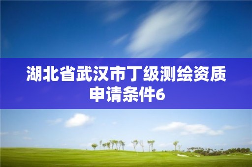 湖北省武汉市丁级测绘资质申请条件6