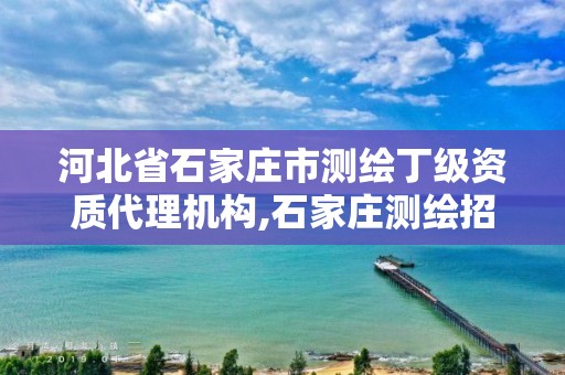 河北省石家庄市测绘丁级资质代理机构,石家庄测绘招聘信息