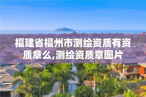 福建省福州市测绘资质有资质章么,测绘资质章图片