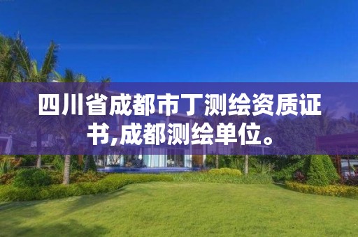 四川省成都市丁测绘资质证书,成都测绘单位。