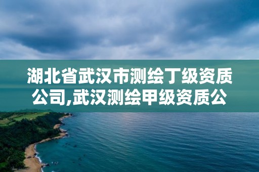 湖北省武汉市测绘丁级资质公司,武汉测绘甲级资质公司