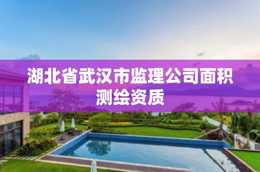 湖北省武汉市监理公司面积测绘资质